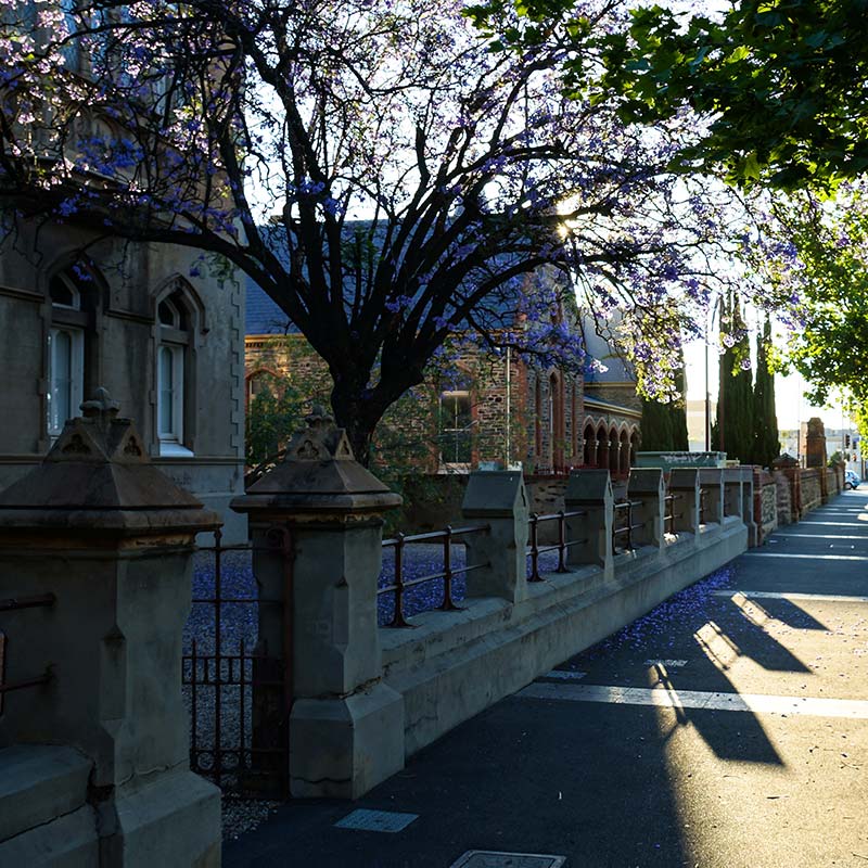 Complete building management adelaide Stefano Group 